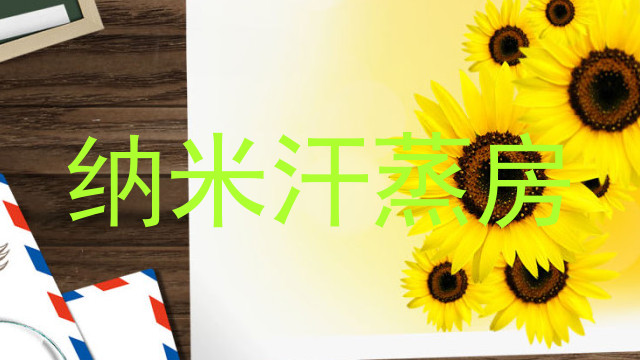 纳米汗蒸房