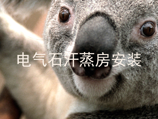 电气石汗蒸房安装