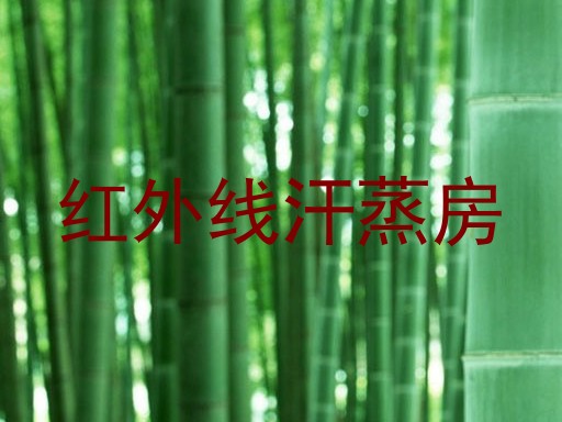 红外线汗蒸房