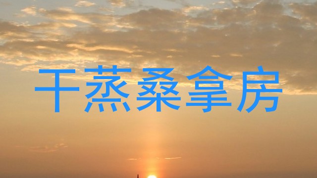 干蒸桑拿房