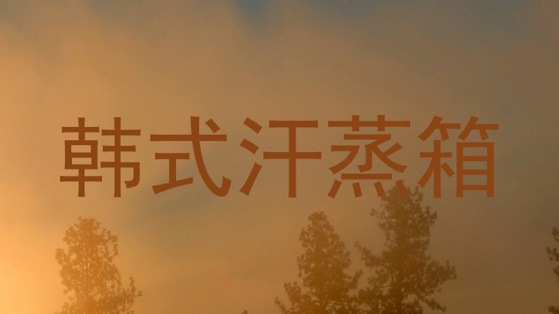 韩式汗蒸箱