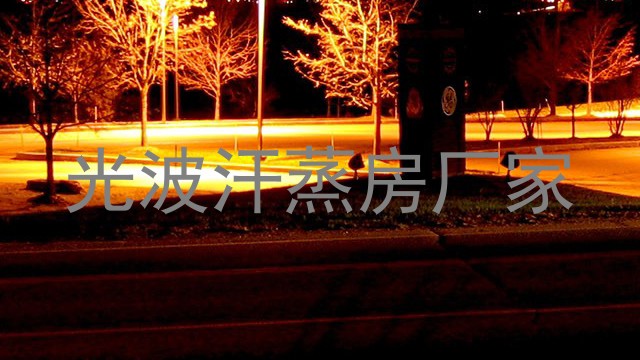 光波汗蒸房厂家