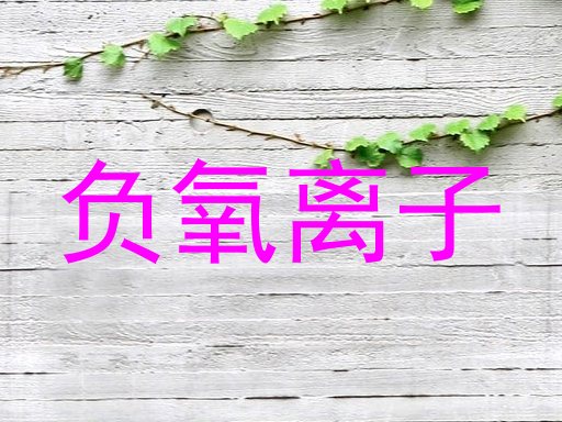 负氧离子
