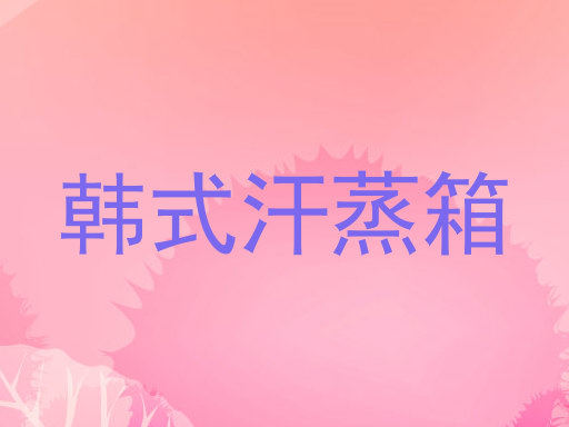 韩式汗蒸箱