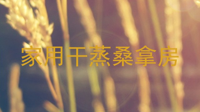 家用干蒸桑拿房