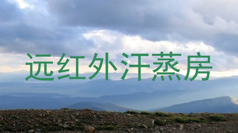 远红外汗蒸房