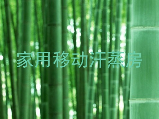 家用移动汗蒸房