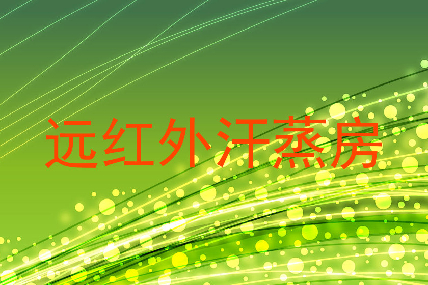 远红外汗蒸房