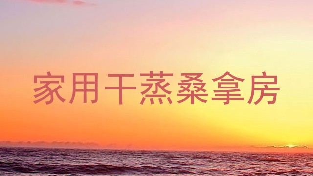家用干蒸桑拿房