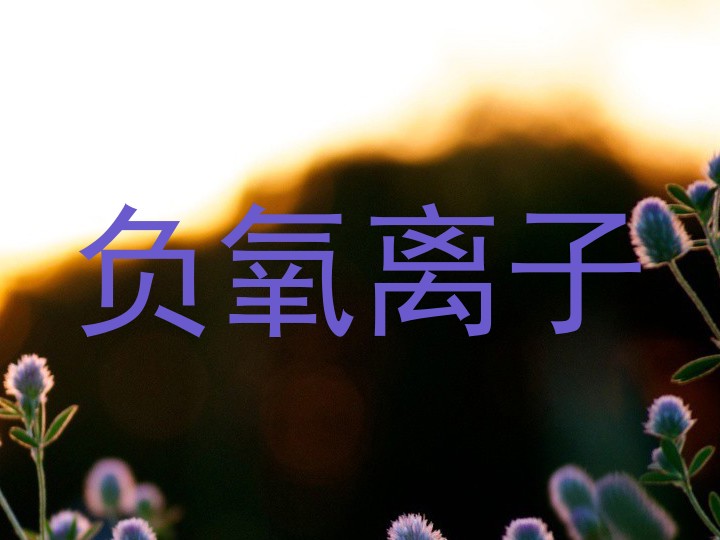负氧离子