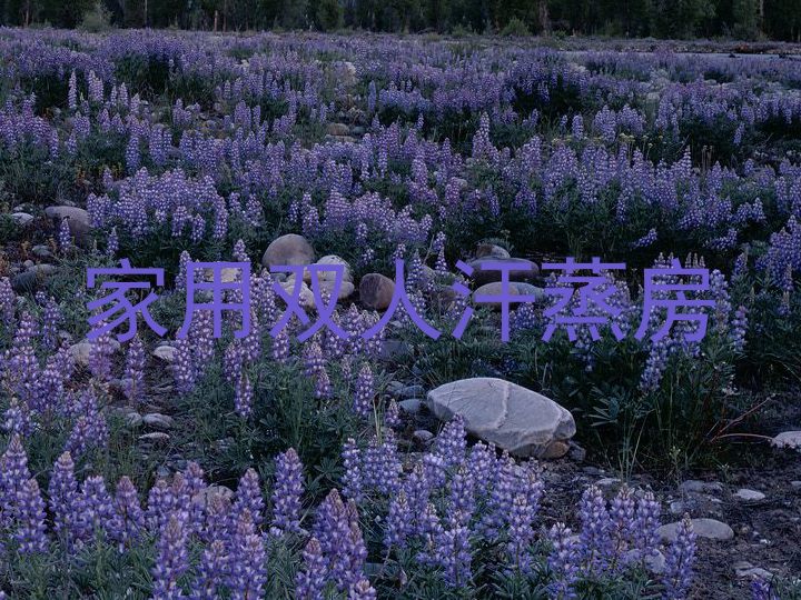 家用双人汗蒸房