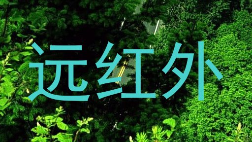 远红外