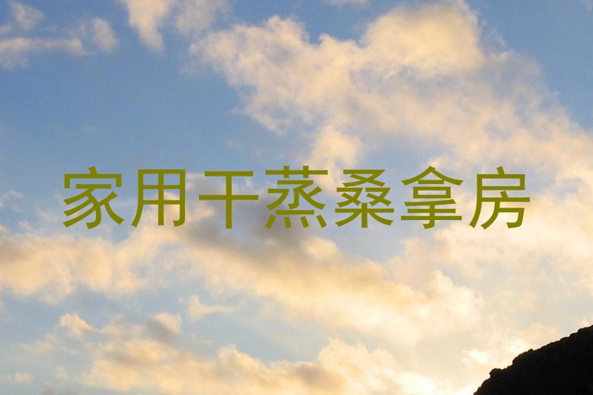 家用干蒸桑拿房