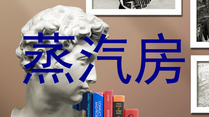 蒸汽房