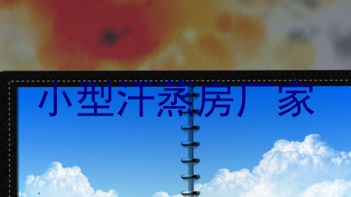 小型汗蒸房厂家