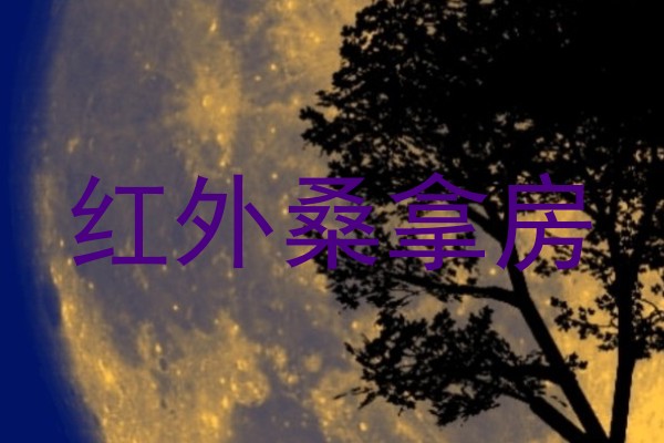 红外桑拿房
