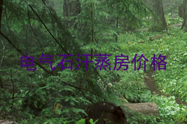 电气石汗蒸房价格