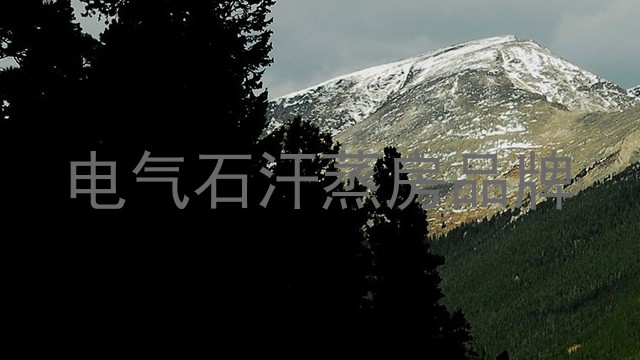 电气石汗蒸房品牌