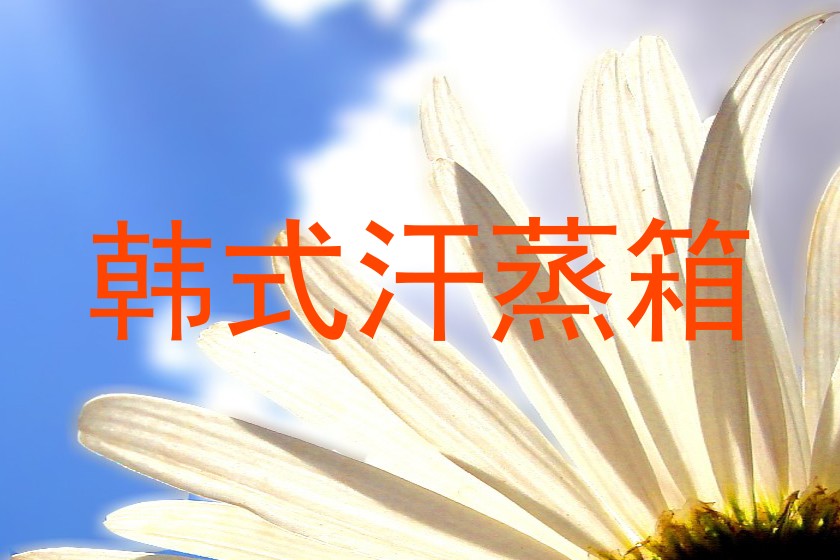 韩式汗蒸箱