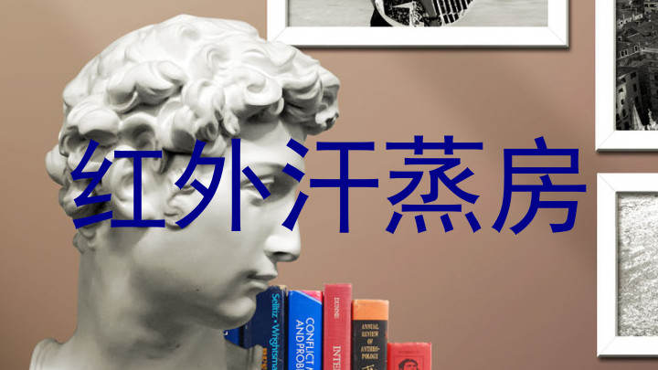 红外汗蒸房