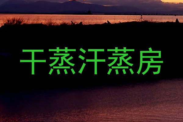 干蒸汗蒸房