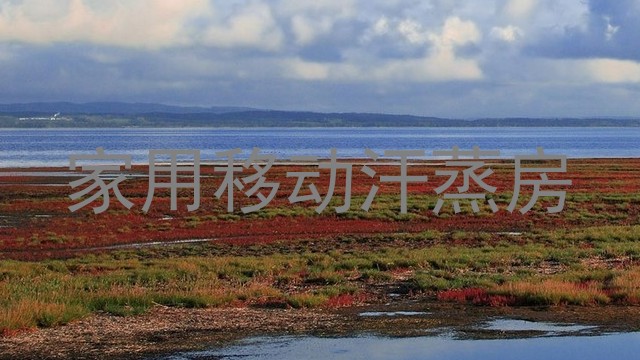 家用移动汗蒸房
