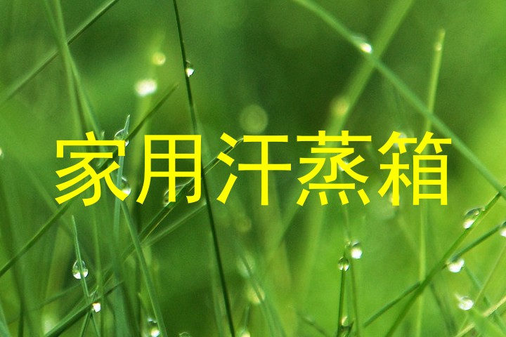 家用汗蒸箱