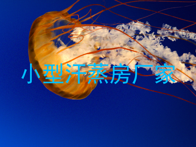 小型汗蒸房厂家