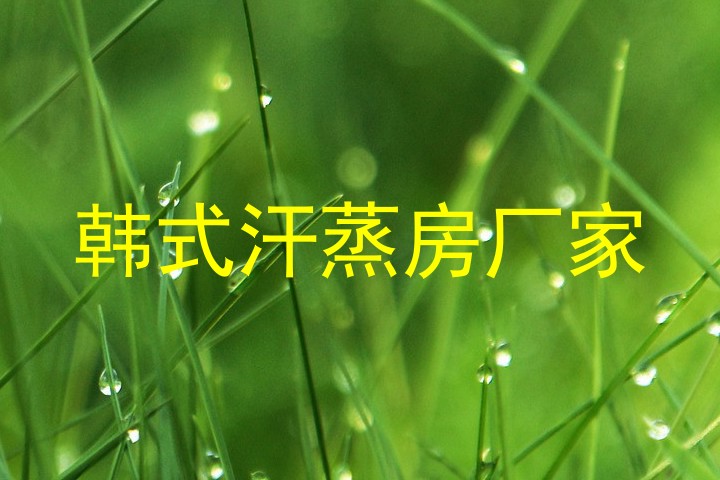 韩式汗蒸房厂家