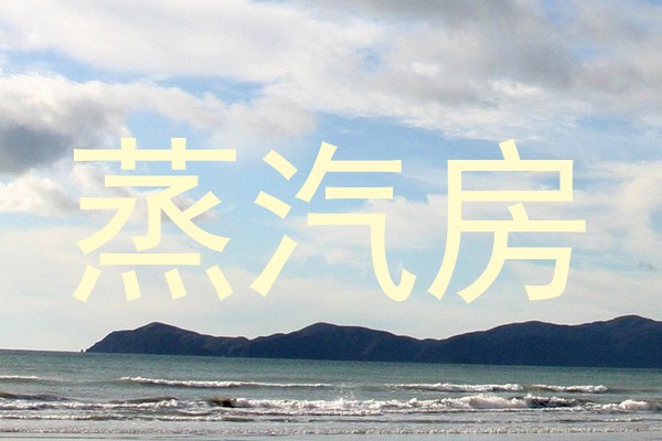 蒸汽房