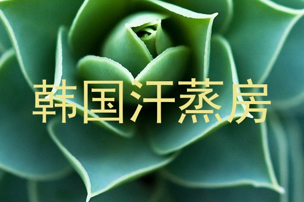 韩国汗蒸房