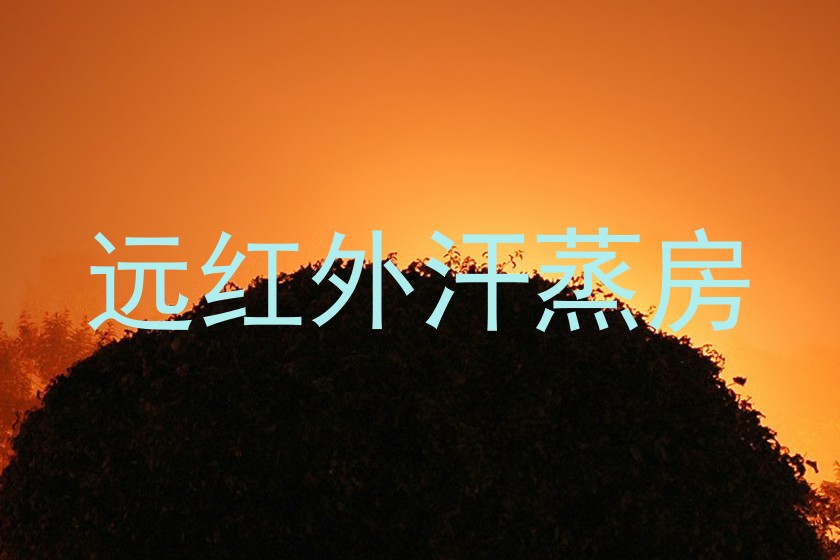 远红外汗蒸房