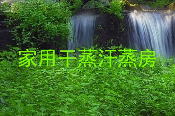 家用干蒸汗蒸房