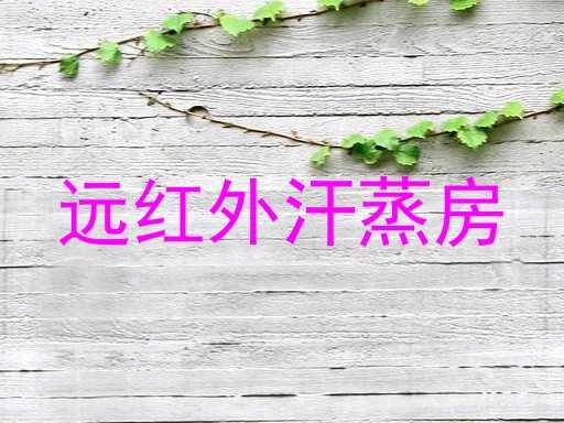 远红外汗蒸房