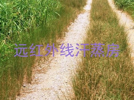 远红外线汗蒸房