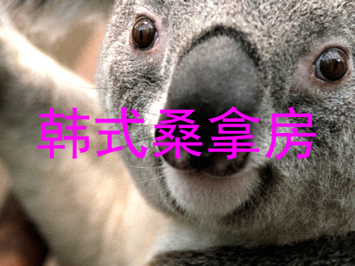 韩式桑拿房