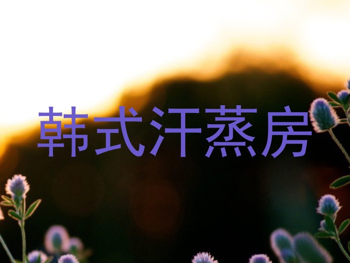韩式汗蒸房