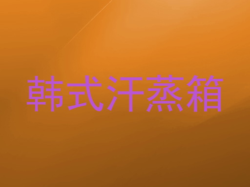 韩式汗蒸箱