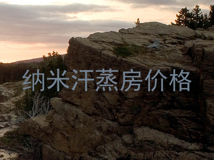 纳米汗蒸房价格