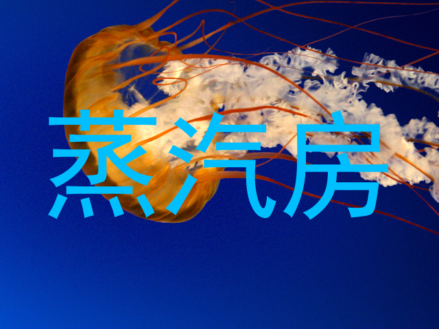 蒸汽房