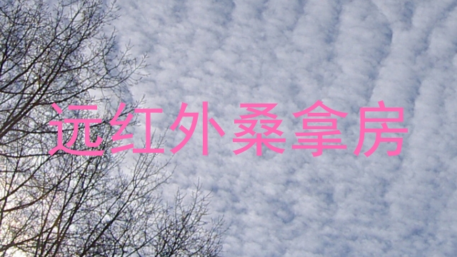 远红外桑拿房