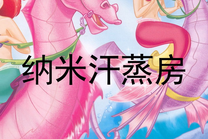 纳米汗蒸房