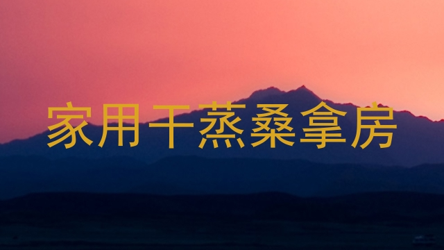 家用干蒸桑拿房