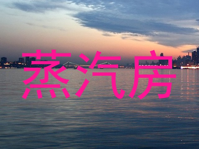 蒸汽房