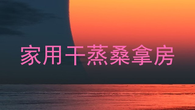 家用干蒸桑拿房