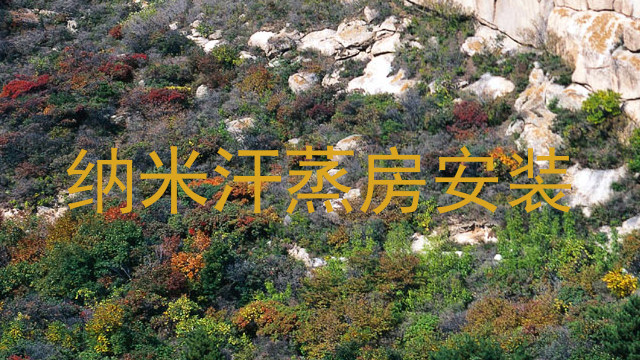 纳米汗蒸房安装