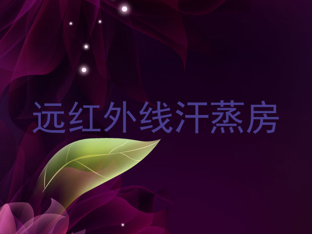 远红外线汗蒸房