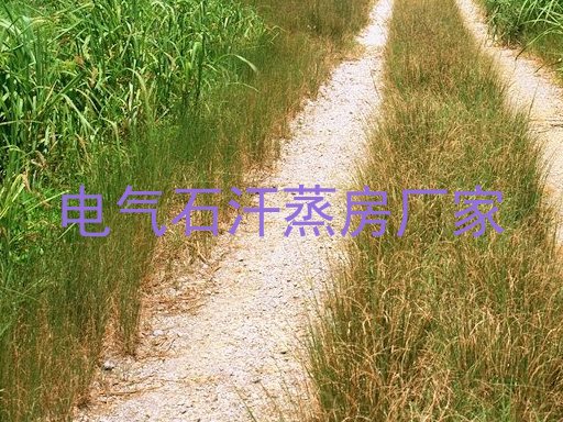 电气石汗蒸房厂家