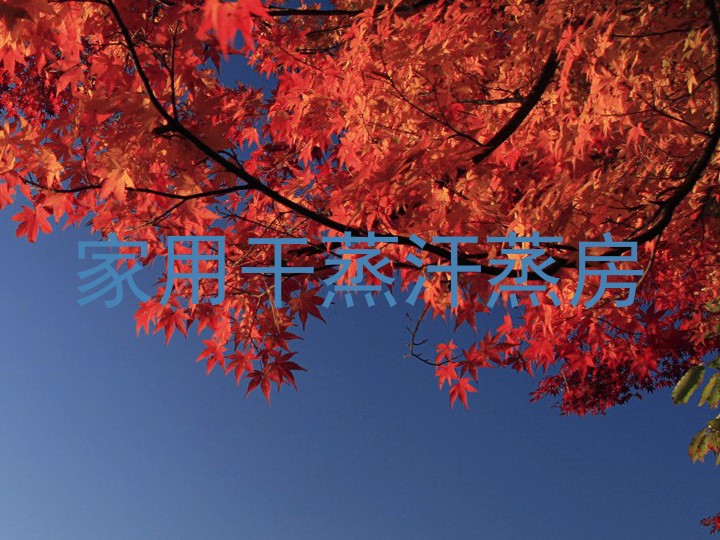 家用干蒸汗蒸房