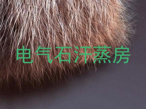 电气石汗蒸房